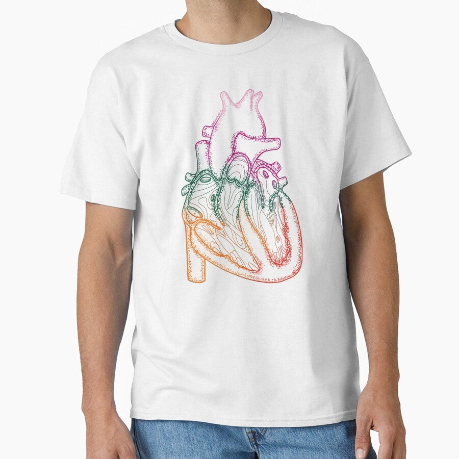 Anatomical Heart by Alawstrations