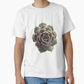 Echeveria Lola by Phoebew03