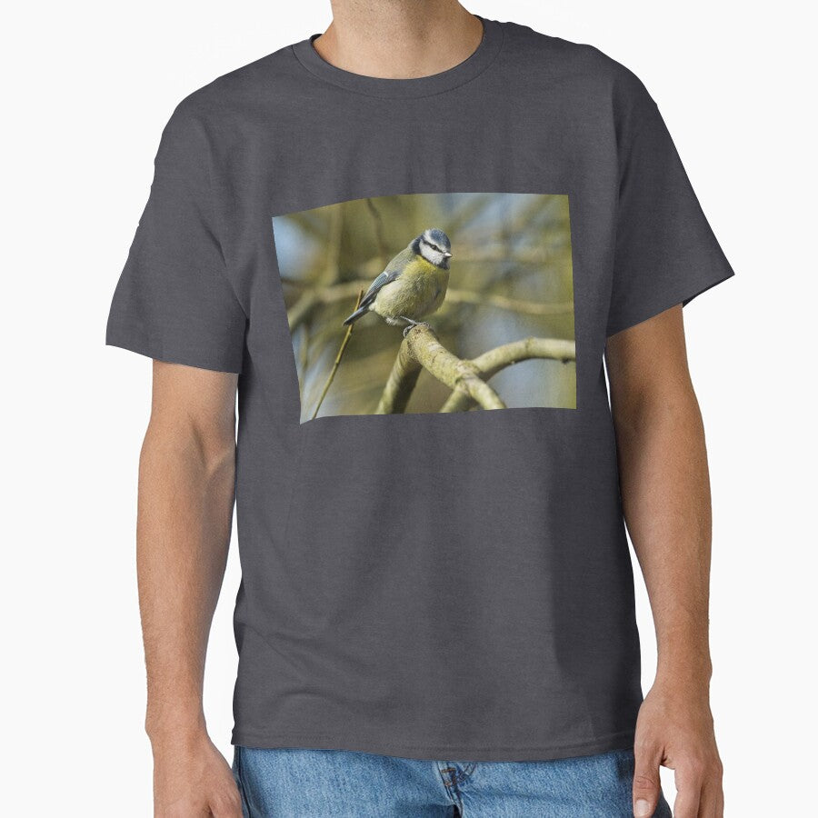 Blue tit standing on branch by Stephen Jarman