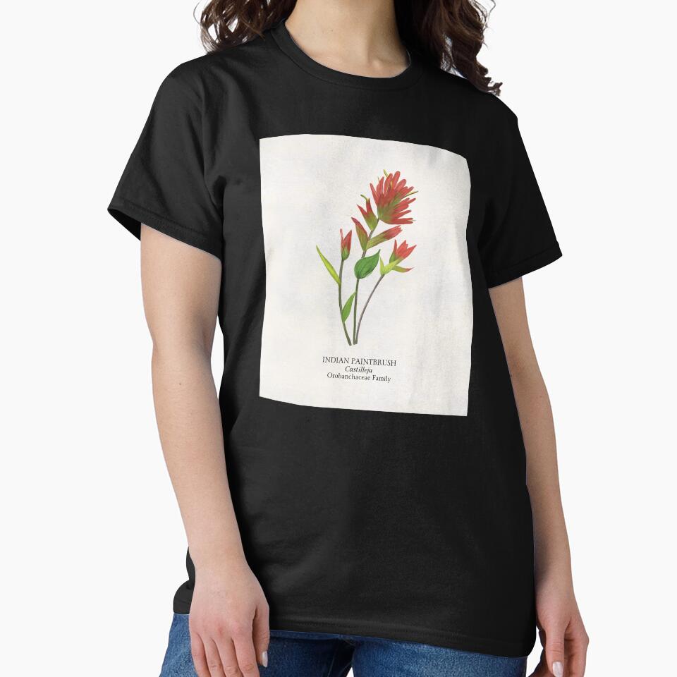 Indian Paintbrush Castilleja Botanical Wildflower by Angie-Atelier