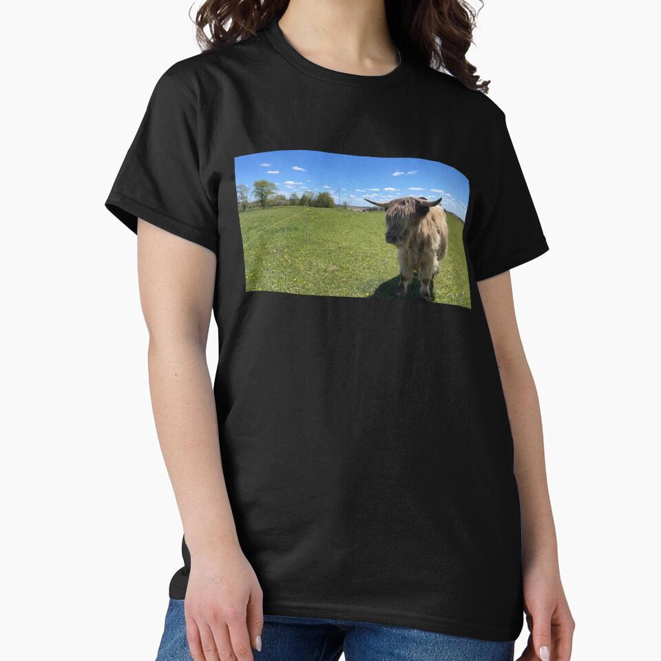 Fluffy Highland Cow Pasture | Scottish Cattle Photography by snapshotszach