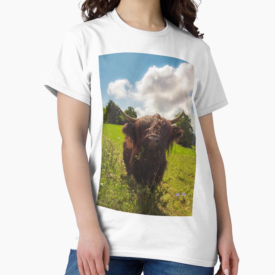 Black highland cow grazing green field sun light by Patrik Lovrin