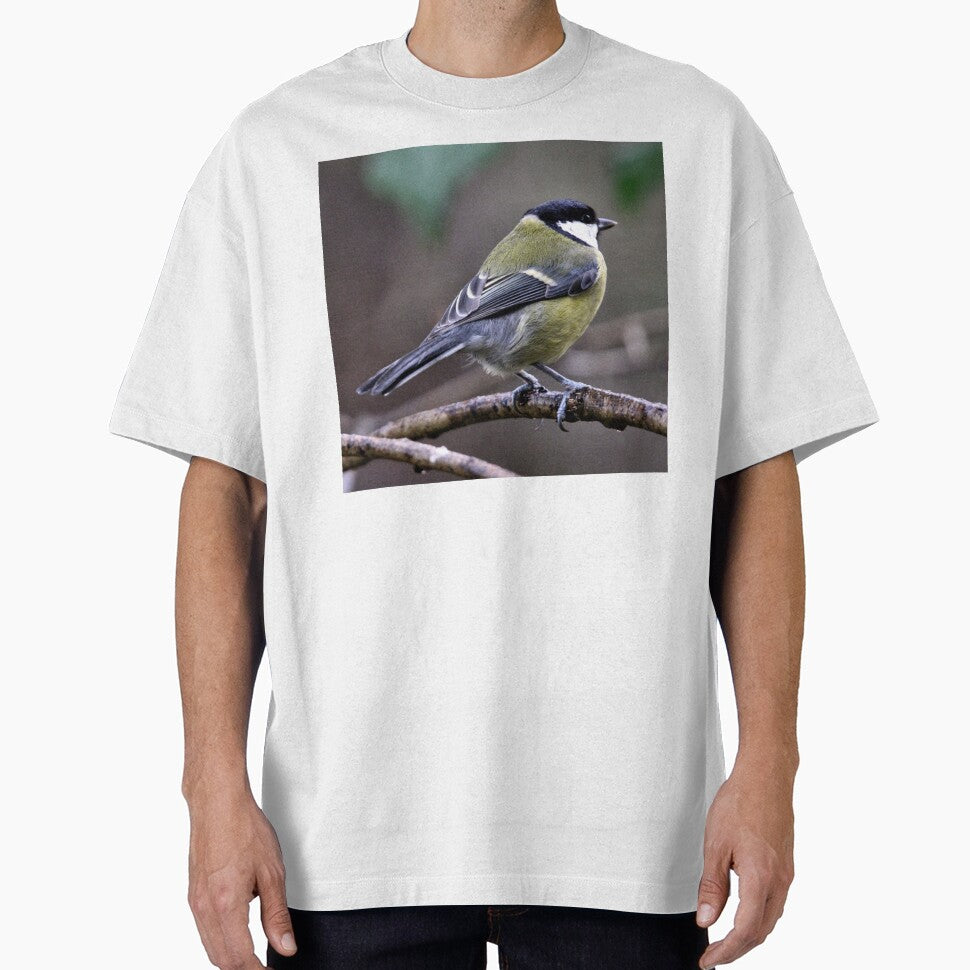 great tit by KathleenDawson