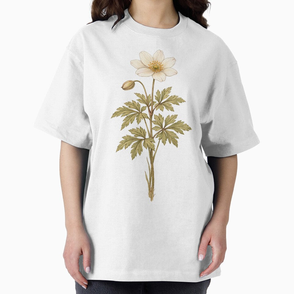 Vintage Wood Anemone Botanical Illustration - Anemone Nemorosa Antique Wildflower Print by Darlin8888