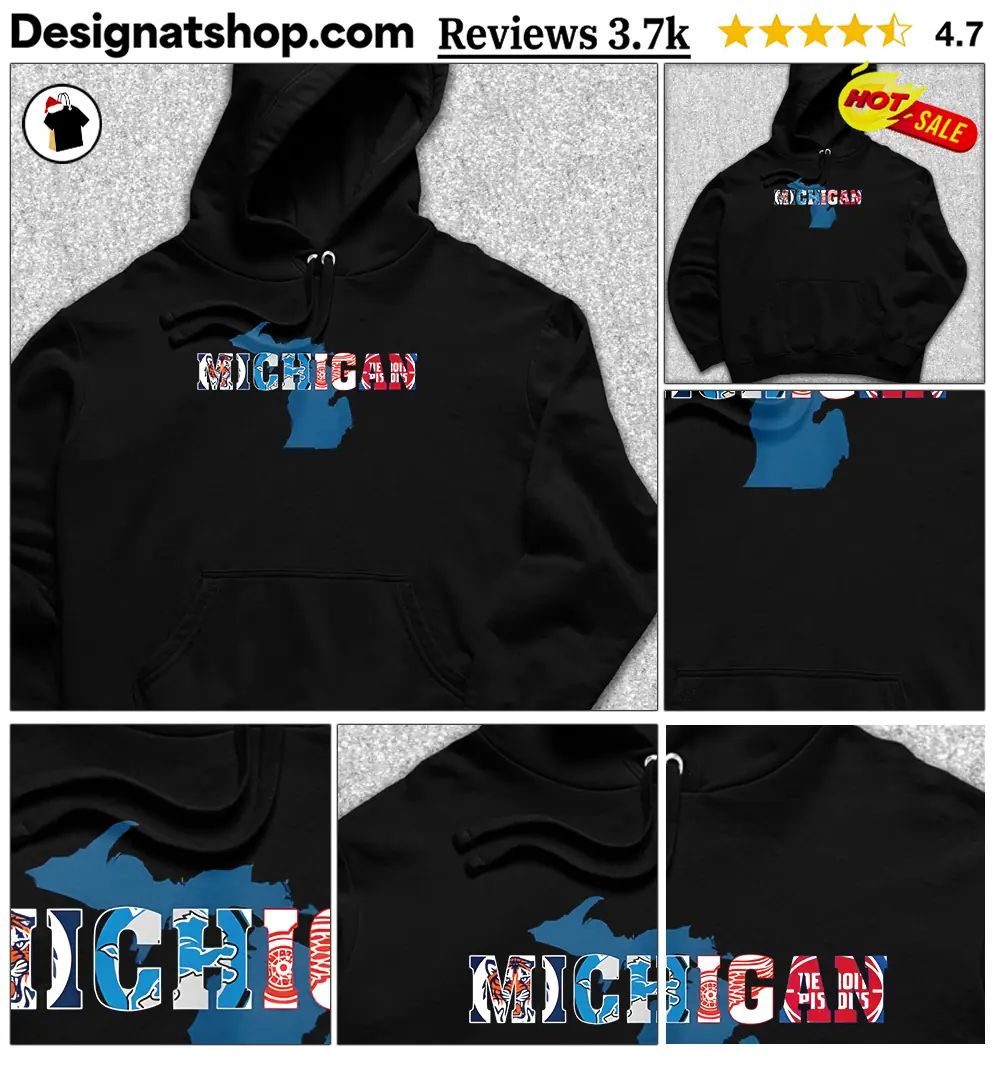 Detroit Tigers Lions Red Wings Pistons Michigan Sports Team Logo Art Shirt