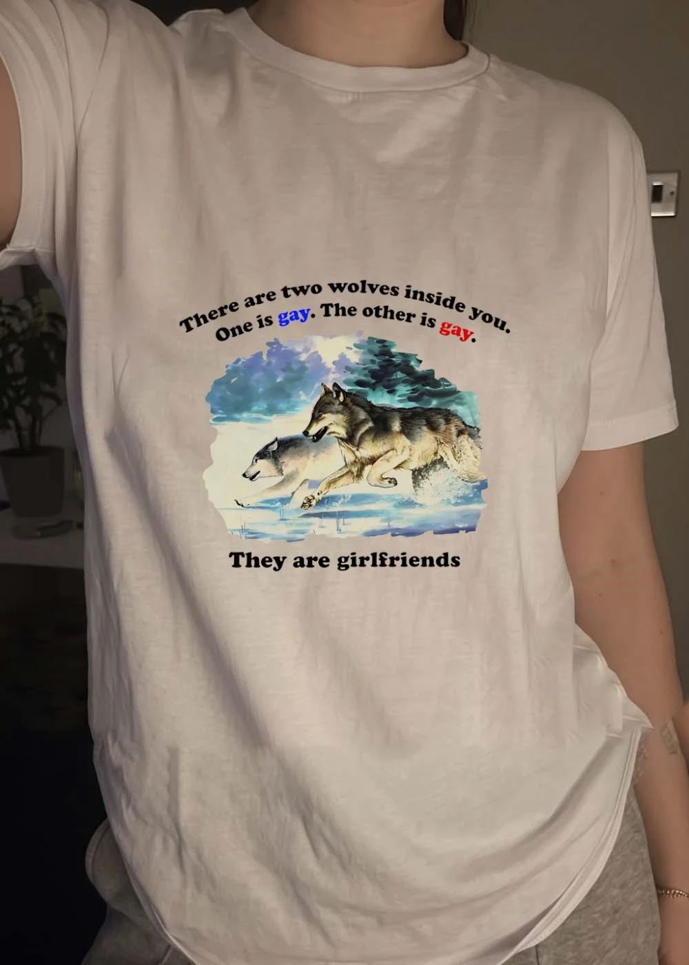 There are Two Wolves Inside You One Is Gay The Other Is Gay They Are Girlfriends shirt