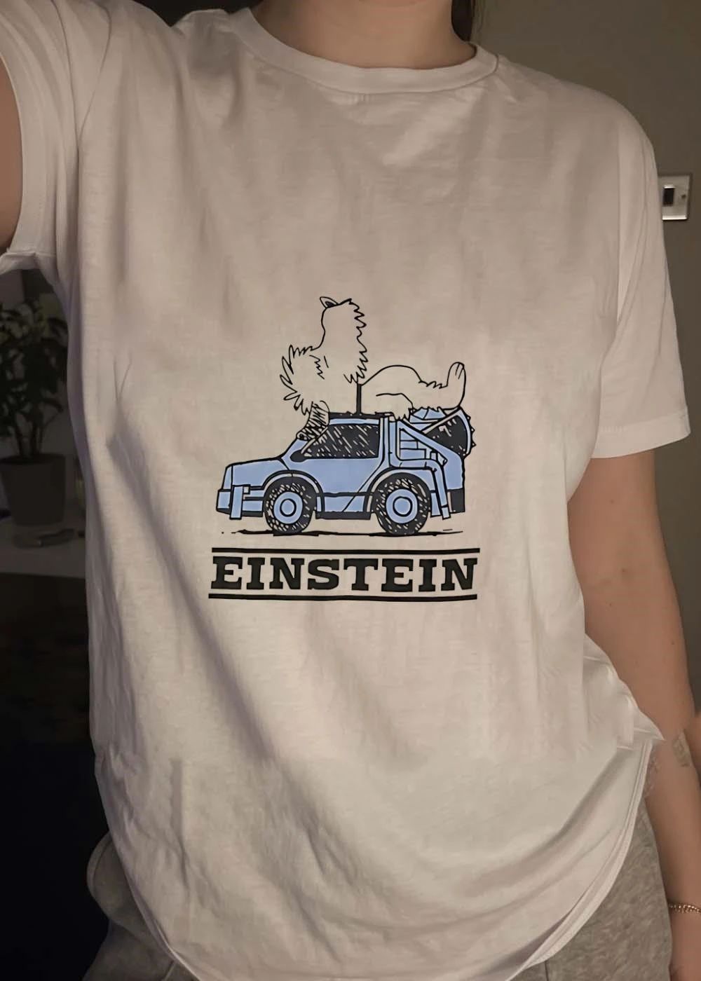 Einstein Dog Riding Delorean Back to the Future shirt