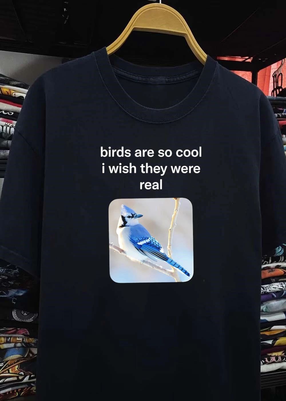 Birds Are So Cool I Wish They Were Real Blue Jay T-Shirt